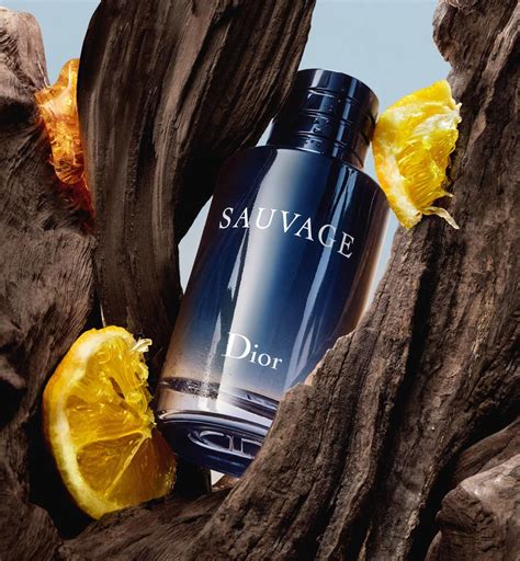 dior sauvage edt|Dior Sauvage edt fragrantica.